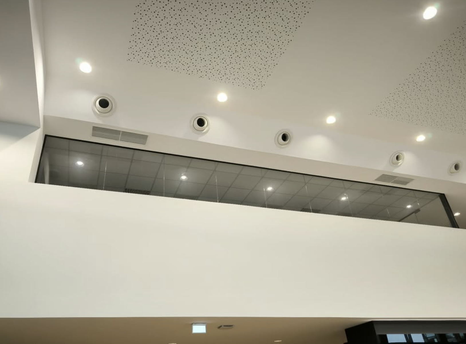 Concession automobile premium — Avignon — Plafond Rigitone acoustique haut de gamme (vue 2)